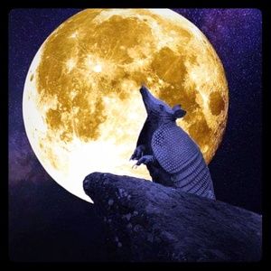 Meet your Posher, Brenna